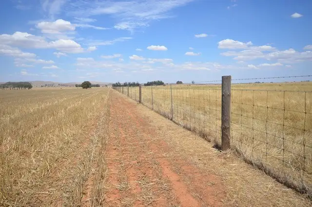 Third view of Homely rural property listing, "Bills" Farrell Flat Road, Farrell Flat SA 5416