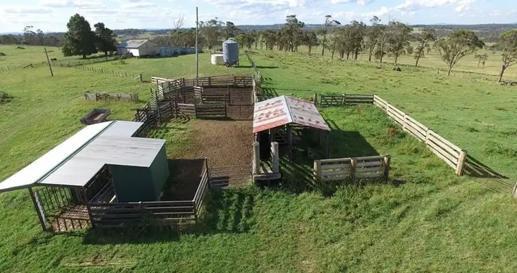 Fourth view of Homely rural property listing, 161 "Forest Lodge", Hickey's Road, Wongwibinda NSW 2350