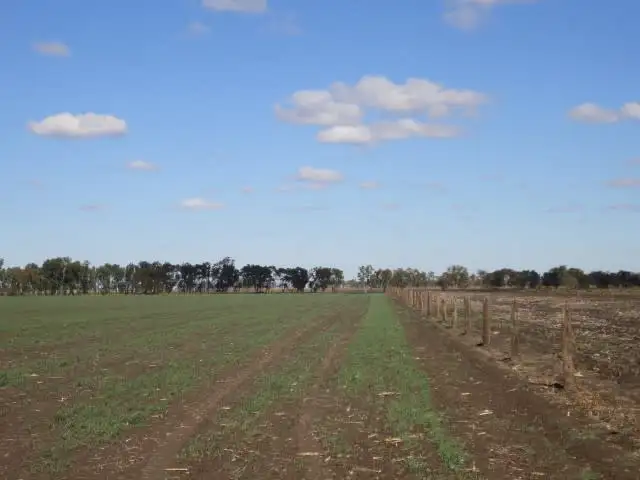 Fourth view of Homely rural property listing, "Lochlea" Mason Road, Bowenville QLD 4404