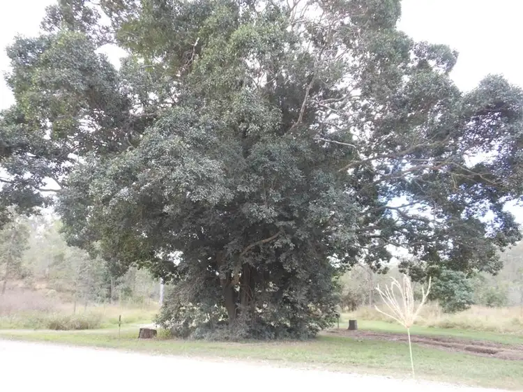 Fifth view of Homely rural property listing, 83 Moolboolaman Road, Gin Gin QLD 4671