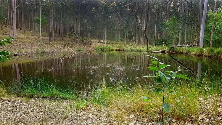Seventh view of Homely rural property listing, 225 Browns Road, Mandalong NSW 2264