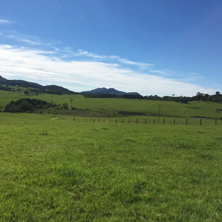 Fifth view of Homely land listing, 90 Everinghams Road, Dorrigo NSW 2453