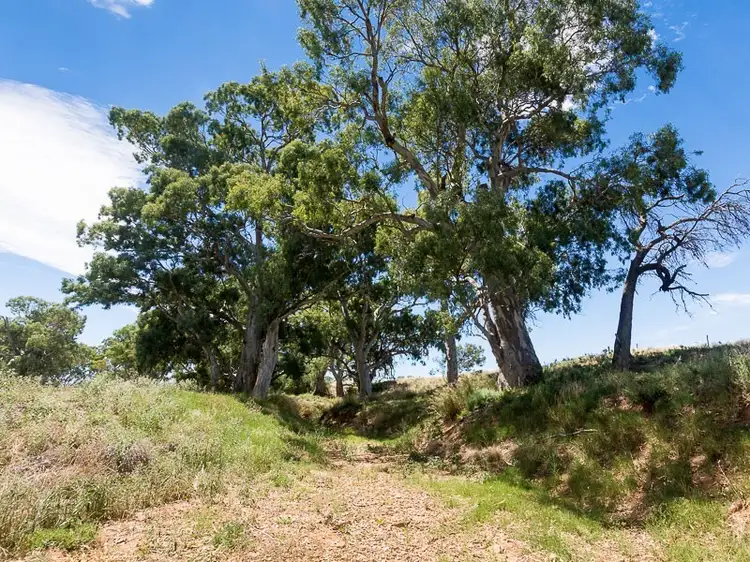 2284 Ridley Road, Angas Valley SA 5238