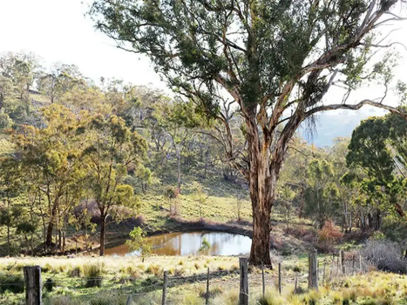 Main view of Homely rural property listing, Address available on request