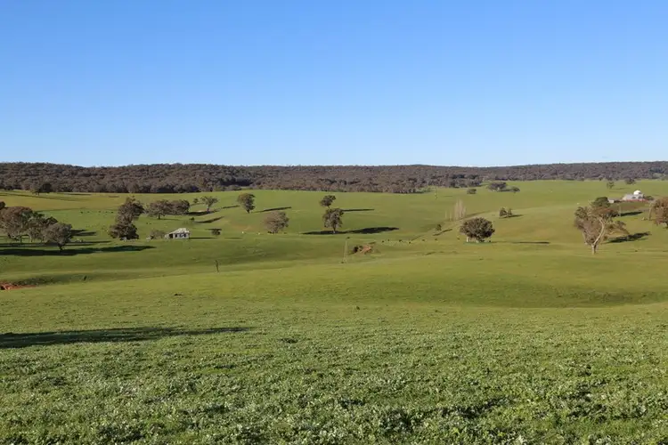 Seventh view of Homely rural property listing, 105 Peakview Road, Young NSW 2594