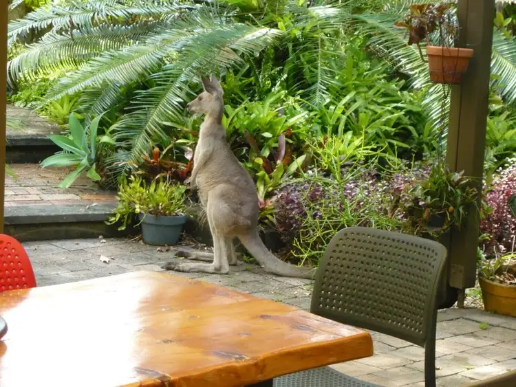 Fifth view of Homely house listing, 38 Barleycorn Avenue, Buderim QLD 4556