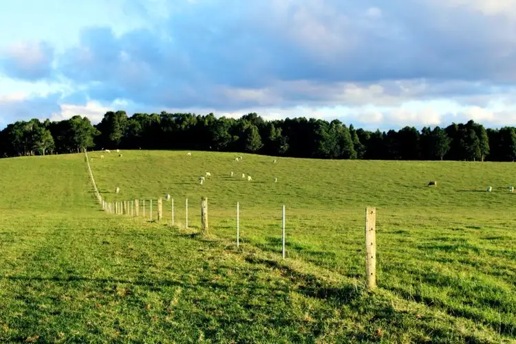 Fifth view of Homely rural property listing, 5443 Waterfall Way, Dorrigo NSW 2453