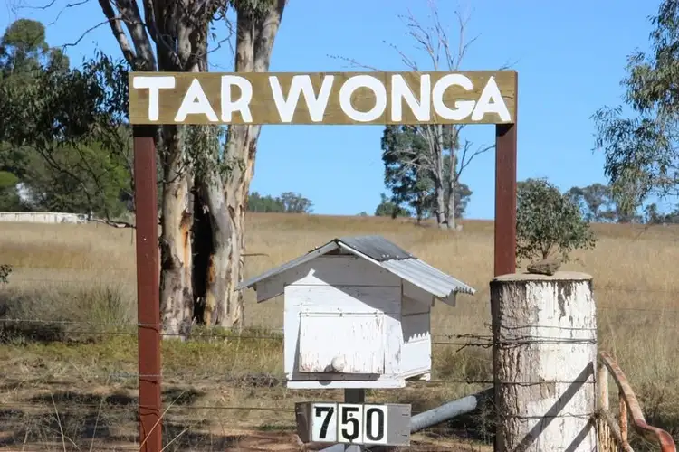TARWONGA River Road, Coonabarabran NSW 2357