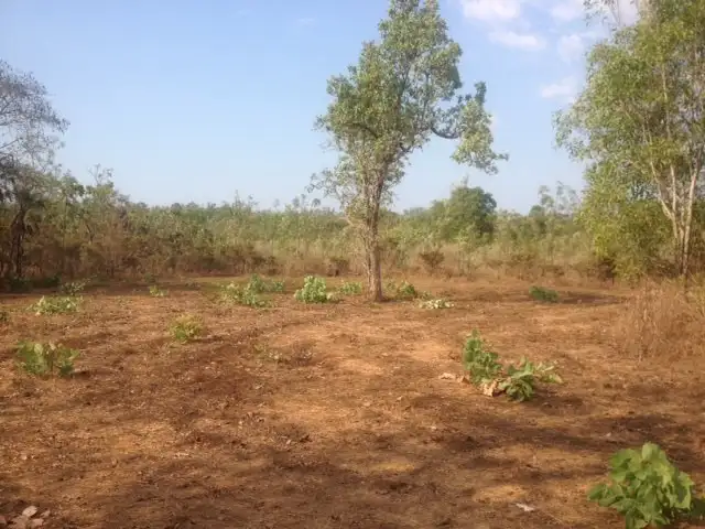Fourth view of Homely land listing, Lot 3655 4800 Fog Bay Road, Dundee Forest NT 840