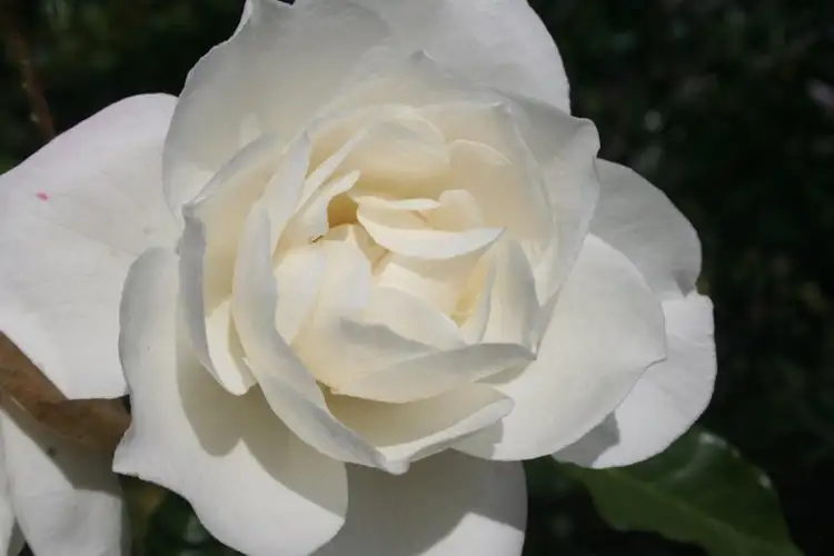 Fifth view of Homely land listing, 3 Spring Street, Bingara NSW 2404