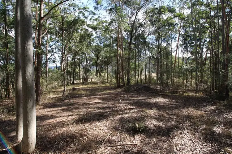 Third view of Homely rural property listing, Lot 153 Bellamy Street, Millfield NSW 2325