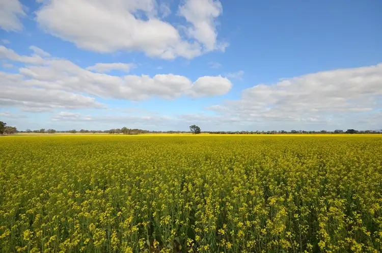 Main view of Homely rural property listing, Coates Road, Natte Yallock VIC 3465