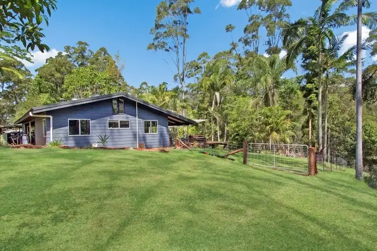 Seventh view of Homely rural property listing, 1270 Tyalgum Road, Tyalgum NSW 2484