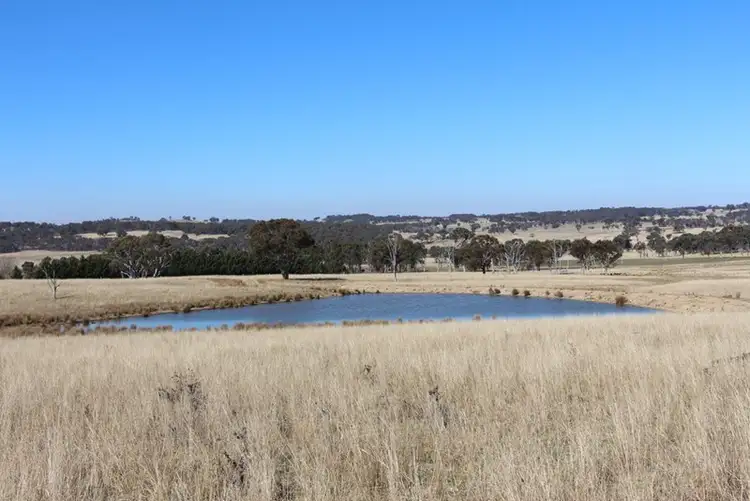 Third view of Homely rural property listing, 1436 Rockvale Road, Armidale NSW 2350