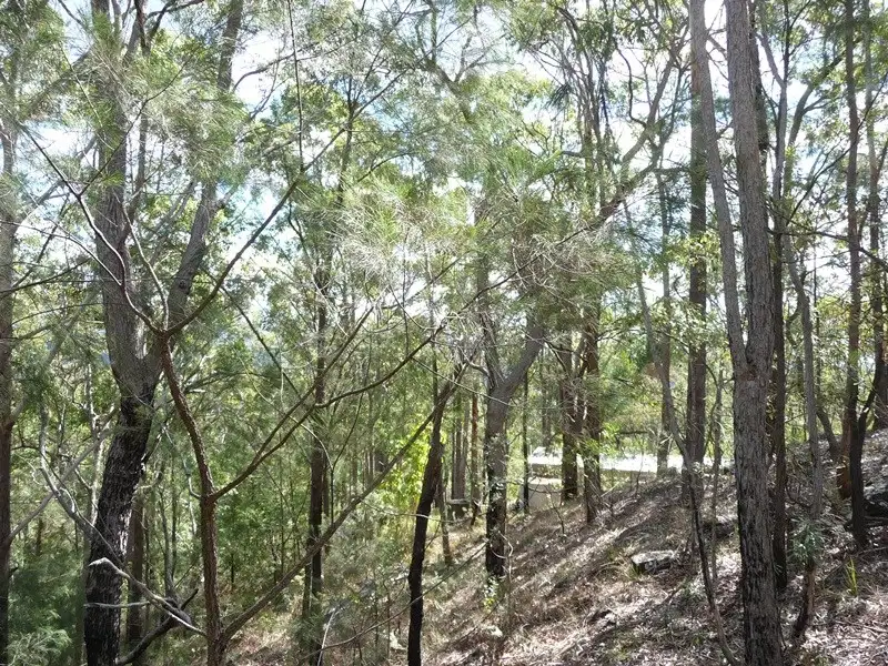 Main view of Homely land listing, 323 Mooloolah Road, Eudlo QLD 4554