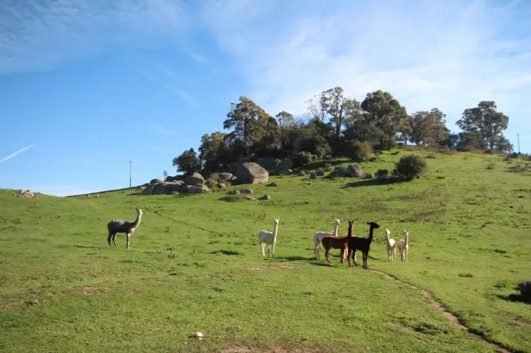 Fourth view of Homely rural property listing, 278 Ferndale Road, Oberon NSW 2787