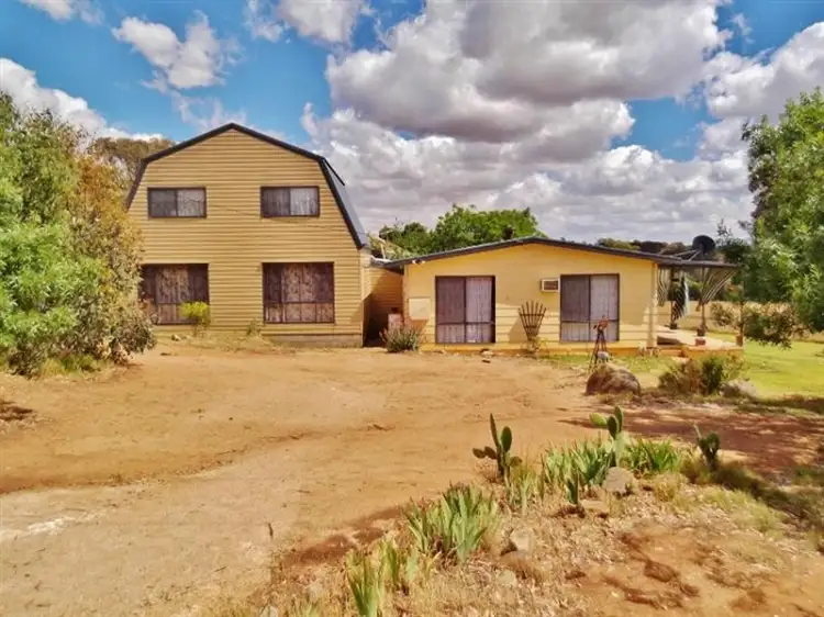 Main view of Homely rural property listing, 4279 Olympic Highway, Young NSW 2594