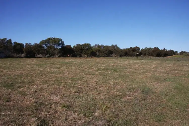 Fifth view of Homely land listing, Lot 43 Martha Street, Caloote SA 5254