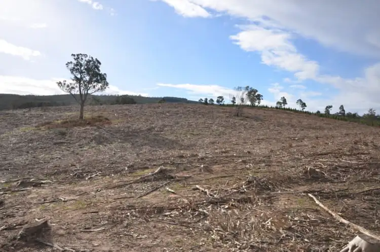 Fourth view of Homely rural property listing, Papadimitriou Graveyard Hill Road, Raglan VIC 3373