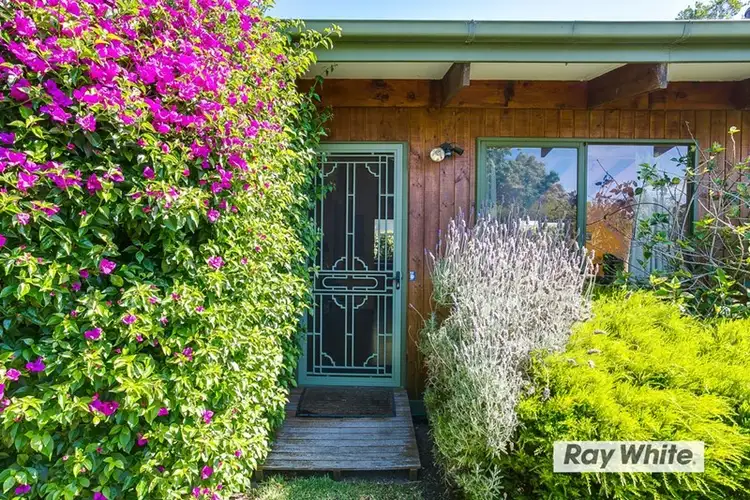 Second view of Homely house listing, 8 Walbrook Road, Rye VIC 3941