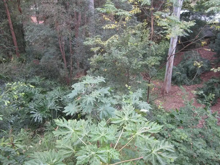Sixth view of Homely house listing, 4 Dyer Street, Chapel Hill QLD 4069
