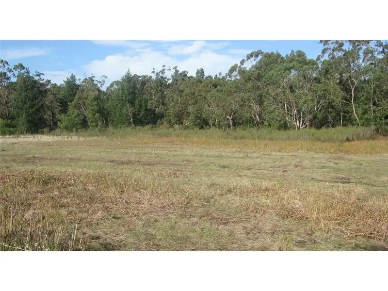 Main view of Homely rural property listing, 0 Hutchinsons Road, Strathdownie VIC 3312