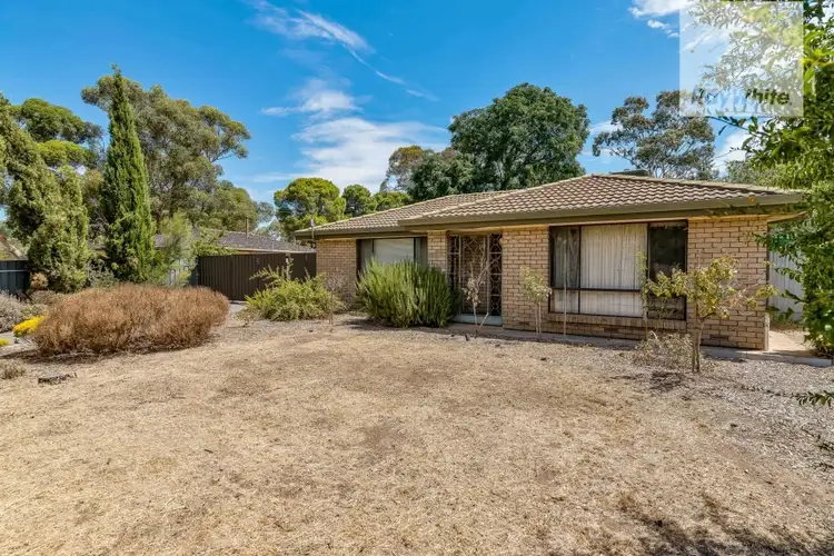 Main view of Homely house listing, 37 Brown Street, Willaston SA 5118
