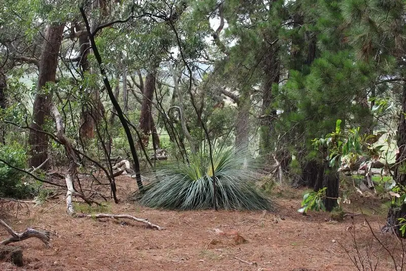 Main view of Homely land listing, Lot 4 and 5 Rarkang Road, Silverton SA 5204