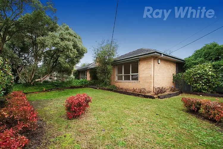 7 MINT Street, Wantirna VIC 3152