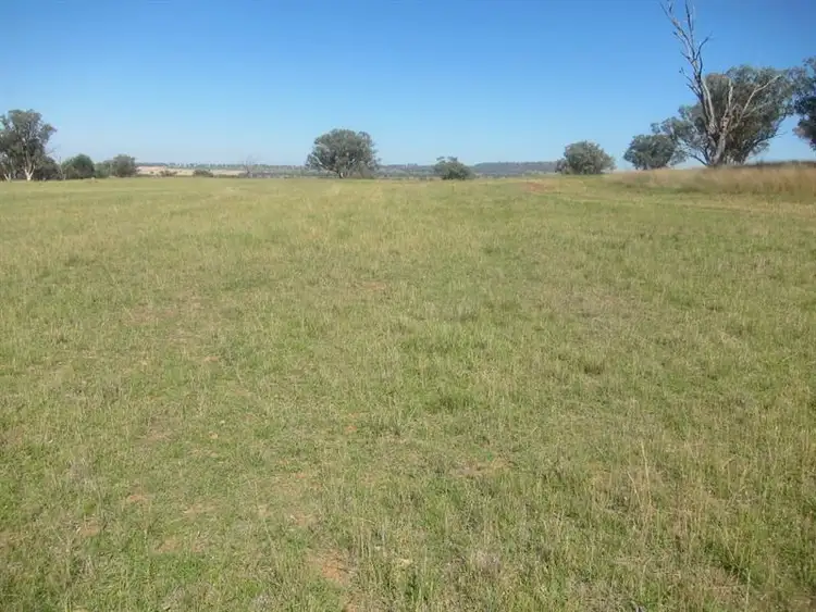 Seventh view of Homely rural property listing, 2583 Manilla Road, Attunga NSW 2345