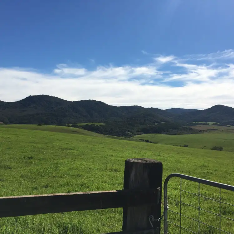 Third view of Homely land listing, 90 Everinghams Road, Dorrigo NSW 2453