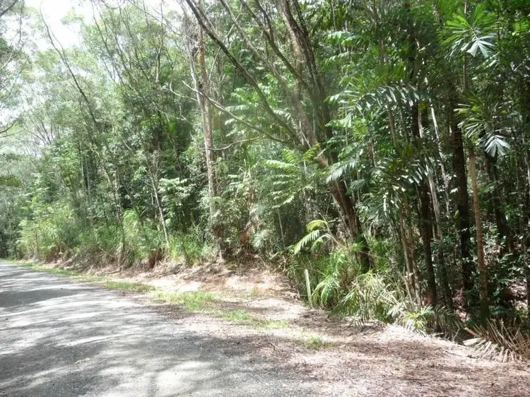 Fifth view of Homely land listing, Lot 16 Forest Close, Daintree QLD 4873