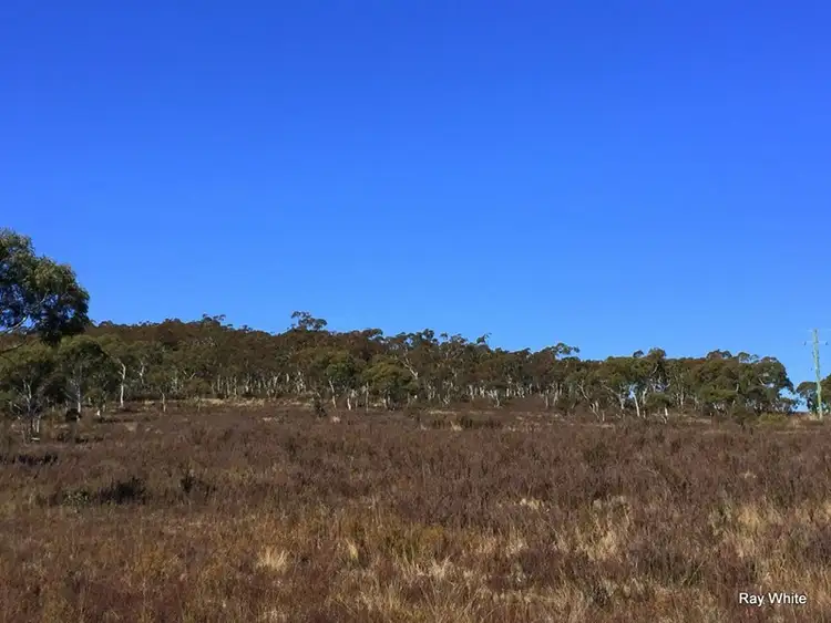 Third view of Homely rural property listing, 43 Tee Tree, Bombay NSW 2622