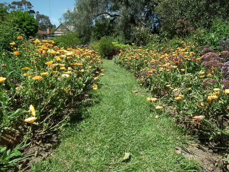 Third view of Homely land listing, 235 High Street, Nagambie VIC 3608
