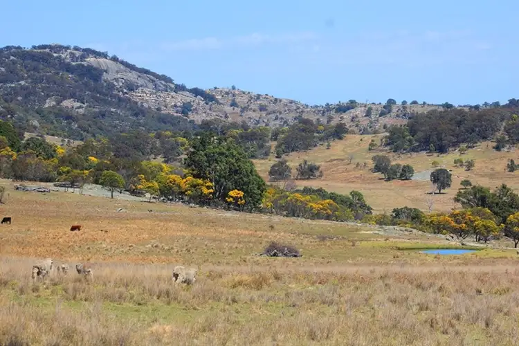 Second view of Homely rural property listing, 924A Kildare Road, Tenterfield NSW 2372