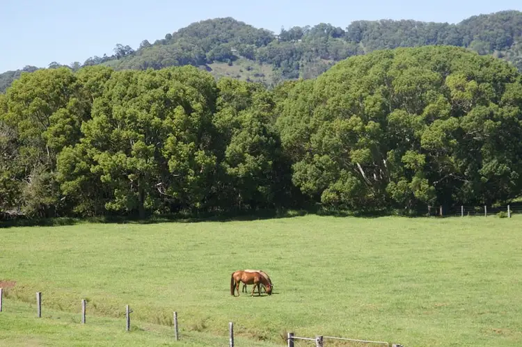 Main view of Homely house listing, 113 Left Bank Road, Mullumbimby NSW 2482