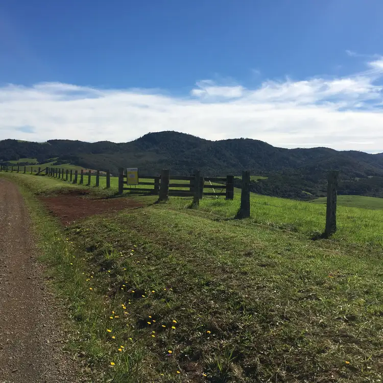 Main view of Homely land listing, 90 Everinghams Road, Dorrigo NSW 2453