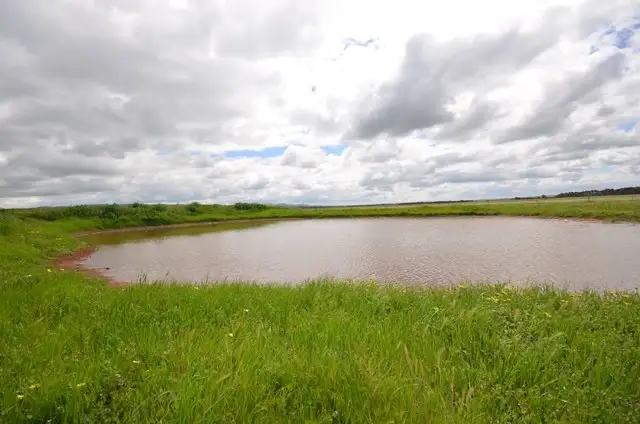 Seventh view of Homely rural property listing, "Baileys" Rd 137, Farrell Flat SA 5416