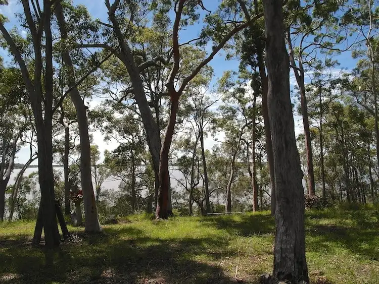 Seventh view of Homely land listing, 43 Morning Glory Drive, Cooroibah QLD 4565