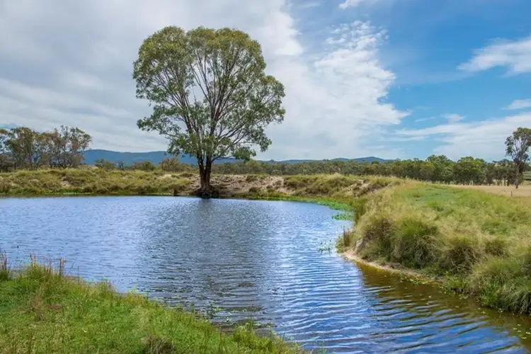 Fourth view of Homely rural property listing, 398 Brushabers Road, Tenterfield NSW 2372