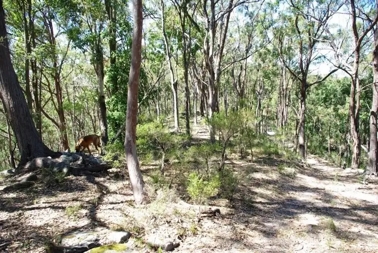 Sixth view of Homely rural property listing, Address available on request