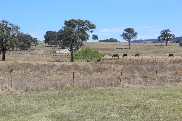 Fifth view of Homely rural property listing, 924A Kildare Road, Tenterfield NSW 2372