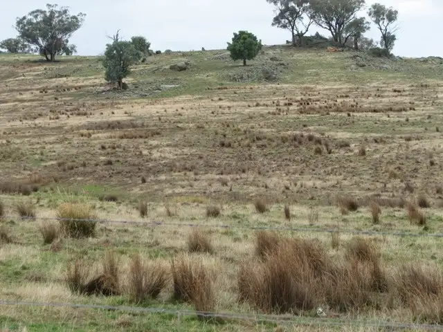 Main view of Homely rural property listing, Address available on request