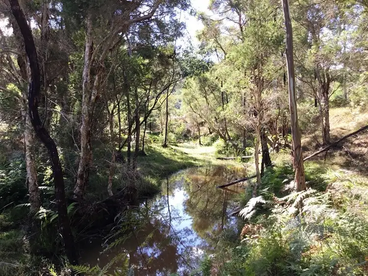 Fourth view of Homely rural property listing, 477 Upper Yango Creek Road, Laguna NSW 2325