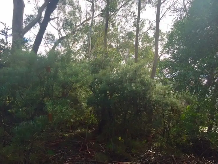 Second view of Homely land listing, 42 Sylvania Street, Mount Victoria NSW 2786
