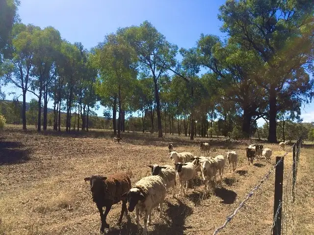 Second view of Homely rural property listing, Lot 1 Mylbie Road, Cowra NSW 2794