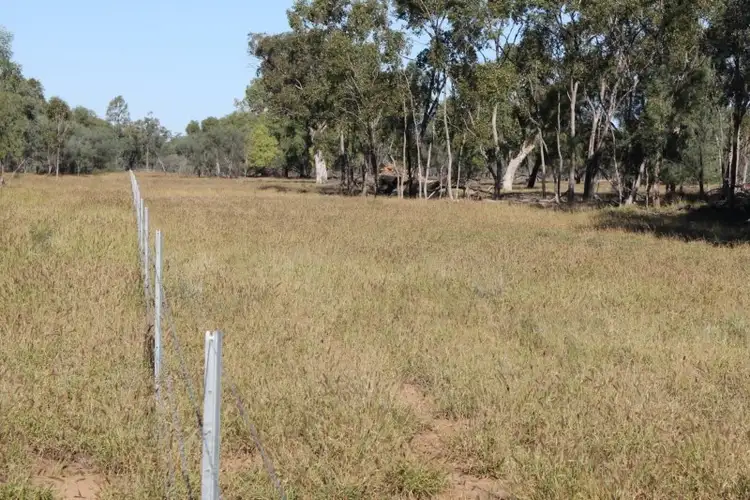 Sixth view of Homely rural property listing, 302 THUNGABY Road, St George QLD 4487