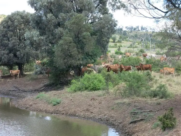 Second view of Homely rural property listing, 351 Mullers Road, Wowan QLD 4702