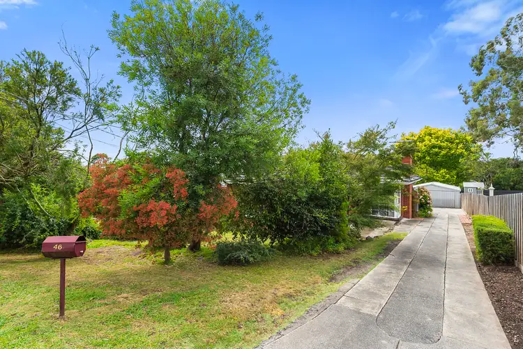 Fifth view of Homely house listing, 46 Alice Street, Croydon North VIC 3136
