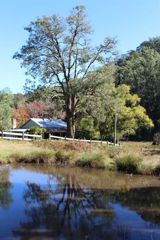 Second view of Homely rural property listing, 295 Pademelon Road, Laguna NSW 2325